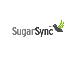 Sugarsync_01
