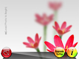 9a36958211b9b10e1bf07b07dd0b3ea6