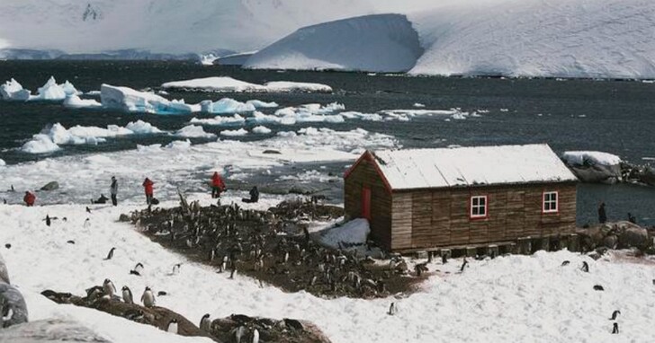 徵人去南極專職「數企鵝」，月薪5萬元起跳、沒有電也沒有馬桶你願意做嗎？