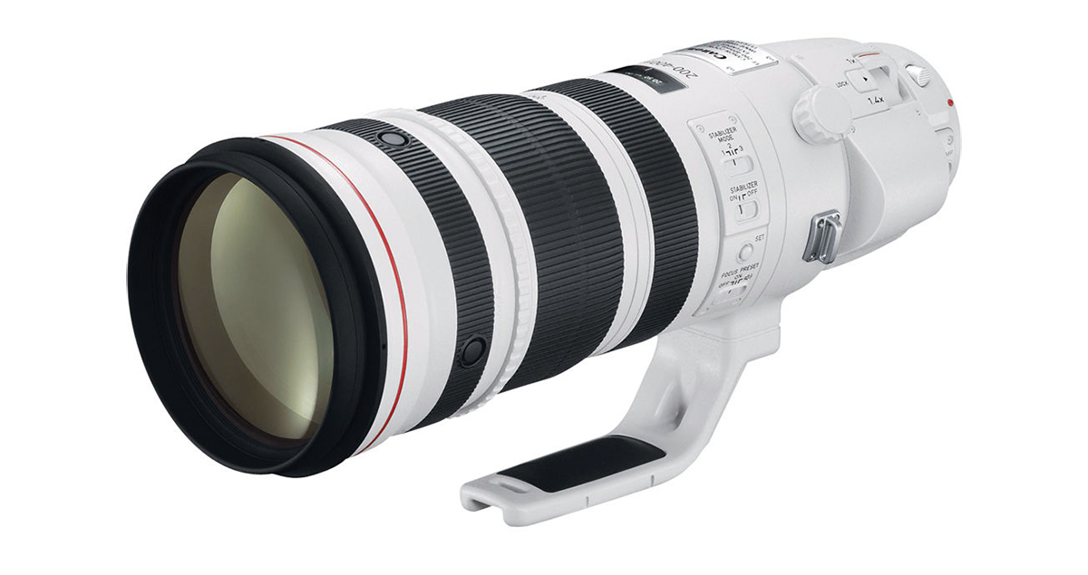 Canon預計將於年底推出沒內建增距鏡的RF 200-500mm F4L IS USM?