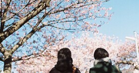 台灣旅客赴日旅遊人數暴增 8,000 倍，日本旅遊調查大公開
