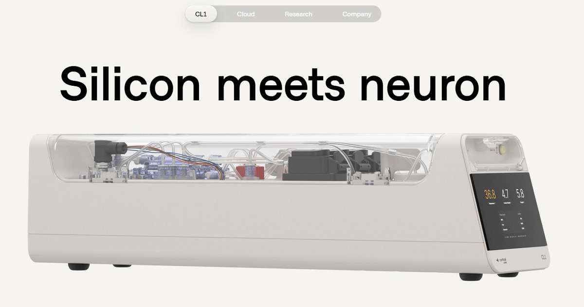 澳洲新創 Cortical Labs 推出使用人類神經細胞打造的生物電腦,可打造真正的「神經網路」