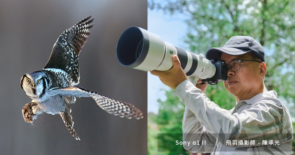 Sony α1 II x 飛羽攝影師 陳承光:畫質與拍攝效率的新標竿