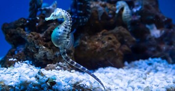 204d8e85ce9f8d0a907959b9c9d08c7e