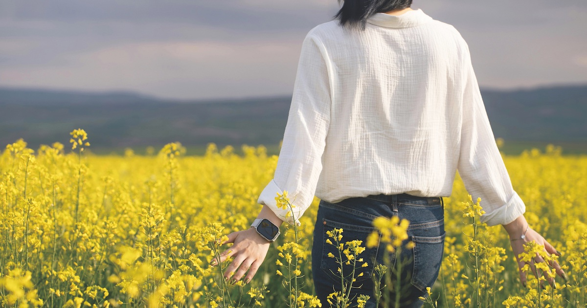 冬季限定！油菜花梅花這樣拍，手機也能拍出大師級美照！