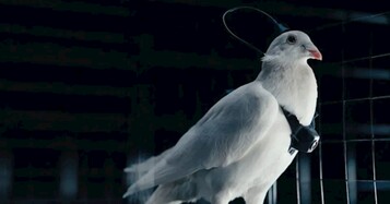 D6f5b8bdcc540e613ce82a02c3d39164