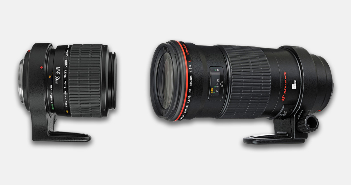 經典長微距即將回歸？Canon 傳正研發 RF 接環可變倍率長焦微距鏡頭