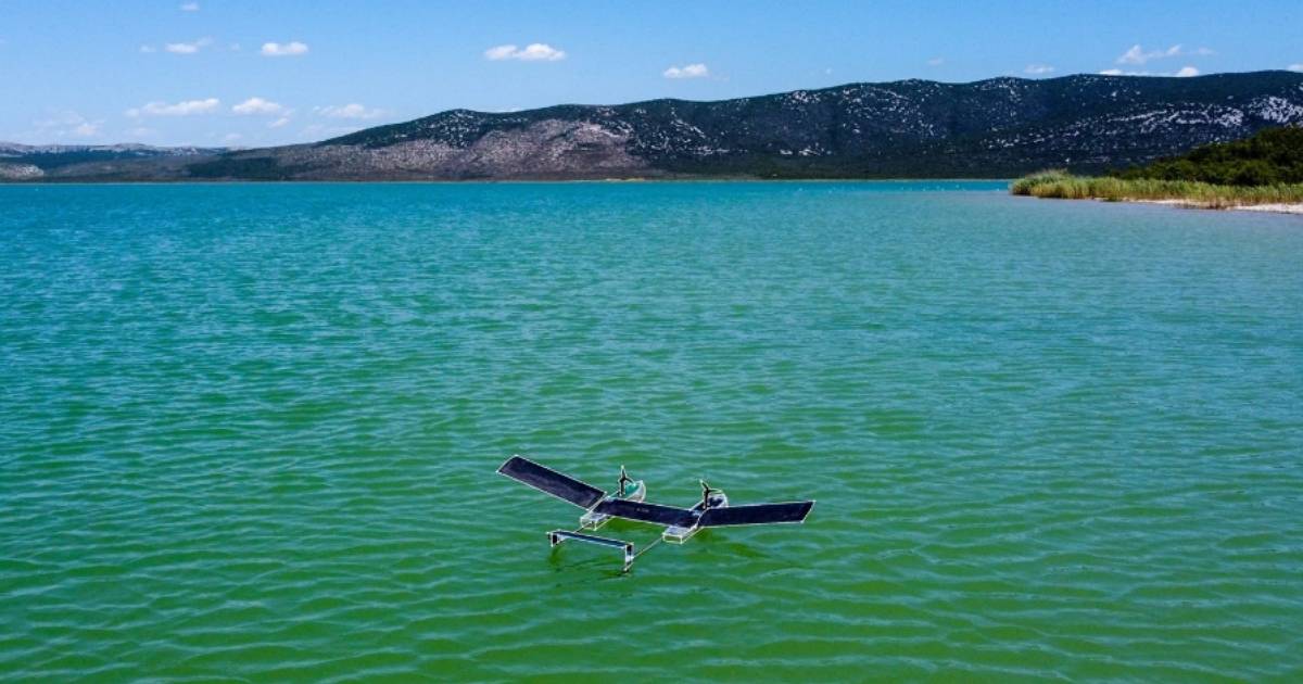 海鳥機器人來了！MIT 開發微型兩棲機器人，免折疊機翼就能水空切換，還能監測海洋生態