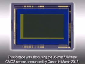 Canon 超高感度全片幅 CMOS 實拍影像，拍攝螢火蟲動態影像