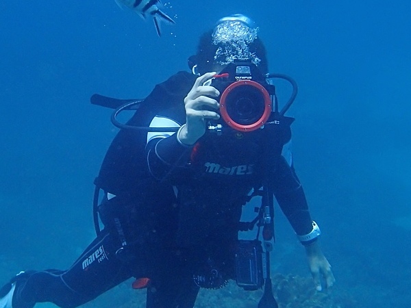 水下十公尺潛水實測比基尼...喔，是 Olympus TG-4 防水相機