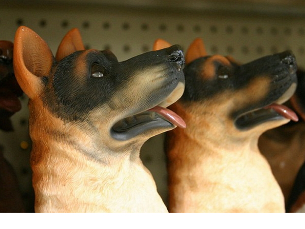 南韓複製狗技術，300 萬台幣讓飼主延續愛犬生命