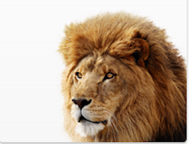 觸控 OS 時代， Mac OS X 10.7 Lion 速覽