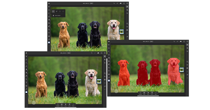 Adobe Photoshop on iPad新增「選取主體」功能