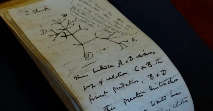 失竊21年的達爾文「生命之樹」筆記，由神秘人歸還放在劍橋圖書館公共區域並祝「復活節快樂」