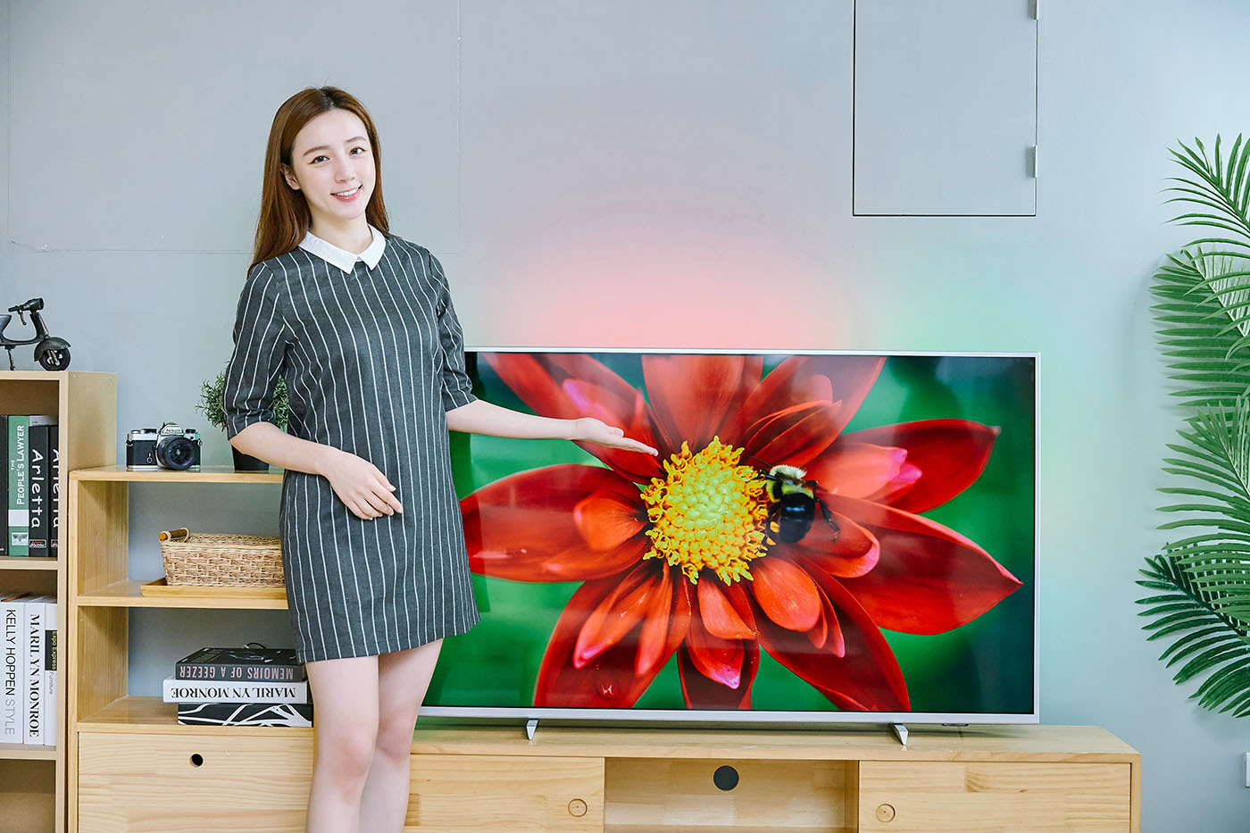 搭載Android TV 9.0系統，支援語音搜尋，ISF畫質表現，Philips 55PUH7374 大型液晶顯示器