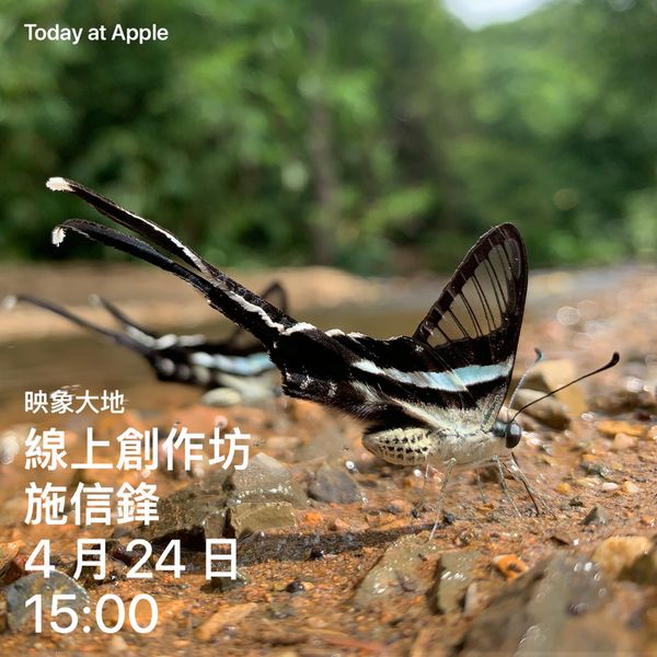 世界地球日，跟著生態攝影師用iPhone 13 Pro Max捕捉微小生物的壯麗姿態