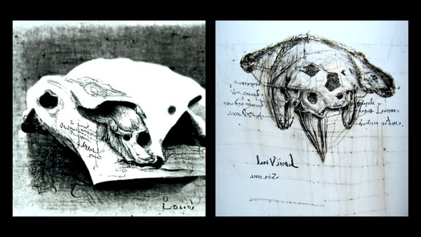 「animal skull sketch, by Leonardo davinci journal」