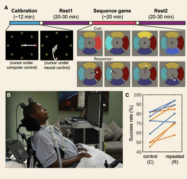 Your brain is really learning automatically while you sleep!The first human experiment confirmed: 1-4 times faster replay