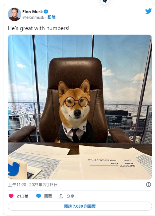 馬斯克貼照片說推特CEO找到了，帶動狗狗幣以及FLOKI價格上漲