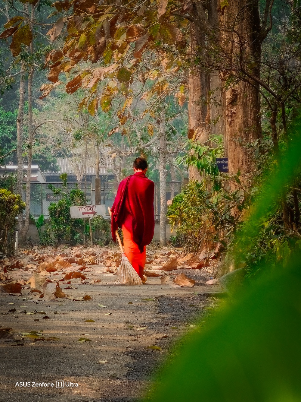 由於僧侶的紅衣非常明顯，這張照片刻意使用綠葉作為前景，營造出對比感。