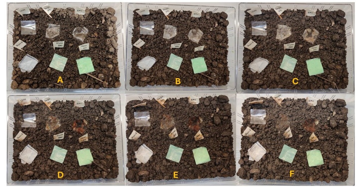 不同塑料材料降解的實驗。左上角是常見的 LDPE 塑料薄膜。上方間和右側分別是研究人員的澱粉基生物塑料和玉米澱粉製成的塑料。底部是三種不同的傳統生物塑料袋。A）顯示實驗開始時的狀態。B）顯示 8 天後的降解情況，C）11 天後的降解情況，D）21 天後，E）41 天後，F）顯示 54 天後的降解情況。圖片來源：Andreas Blennow