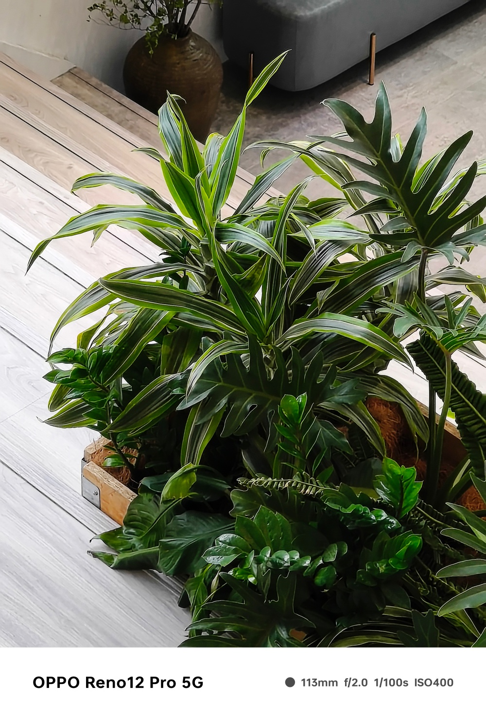 OPPO Reno 12 Pro 實測,讓 AI 更親民的新一代中階手機