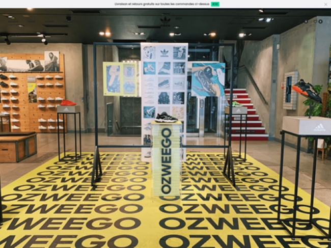 圖三：仿冒愛迪達（adidas）官網的釣魚網站 adidas-ozweego[.]fr
