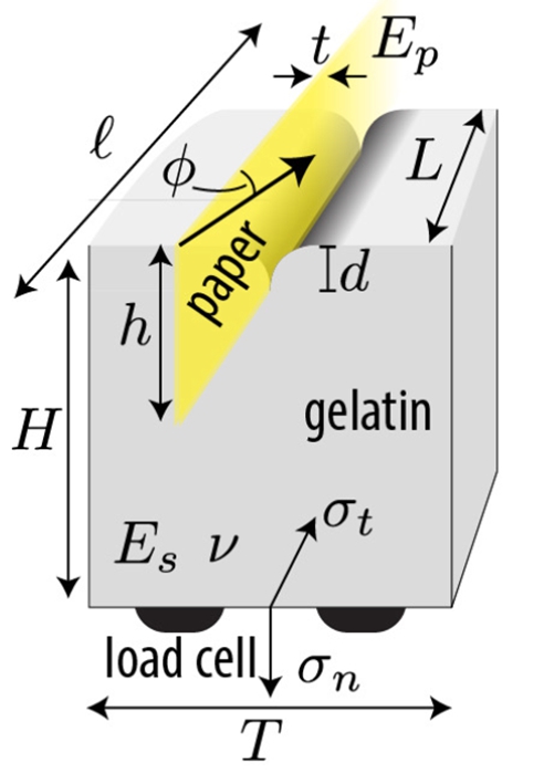 紙劃矽膠的物理模型（圖片來源：原論文）