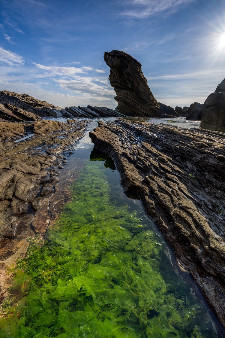 Wang Baoguo skillfully utilized the four-axis multi-angle flip screen of the α7R V to capture landscapes with a sense of spatial depth from low angles. (α7R V + SEL1635GM2, 16mm, F11, 1/20s, ISO 100) (see large image)