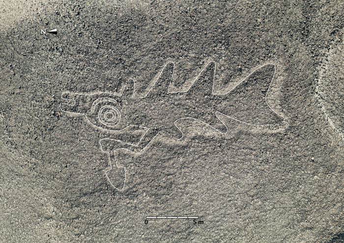 日本考古學家利用AI技術在半年內新發現303幅古代納斯卡線地畫