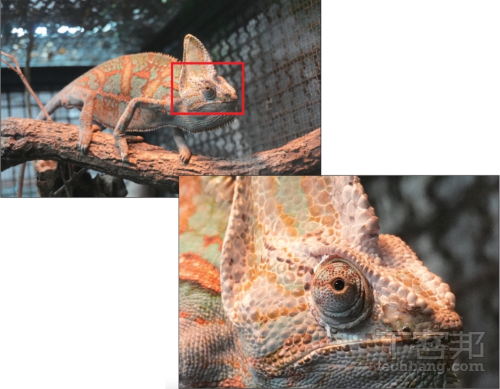 採用 APS-C 片幅 Exmor R CMOS 的 ZV-E10 II 延續 Sony 優異高感光度畫質的特色，即使 ISO 3200 依然擁有出色的解析度和紋理表現。（光圈 F5.6, 快門 1/100 秒, ISO 3200）