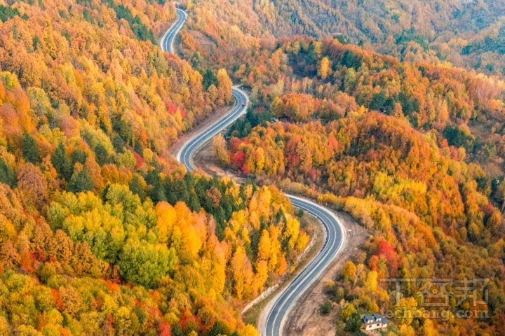 常見的蜿蜒山路、河流或人工建築的曲線，都是 S 形線條的代表，可帶來活潑、律動且美麗的視覺感受。