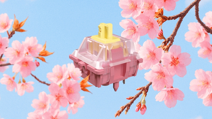 CHERRY 下一代鍵軸系列登場，四款全新軸體同步亮相