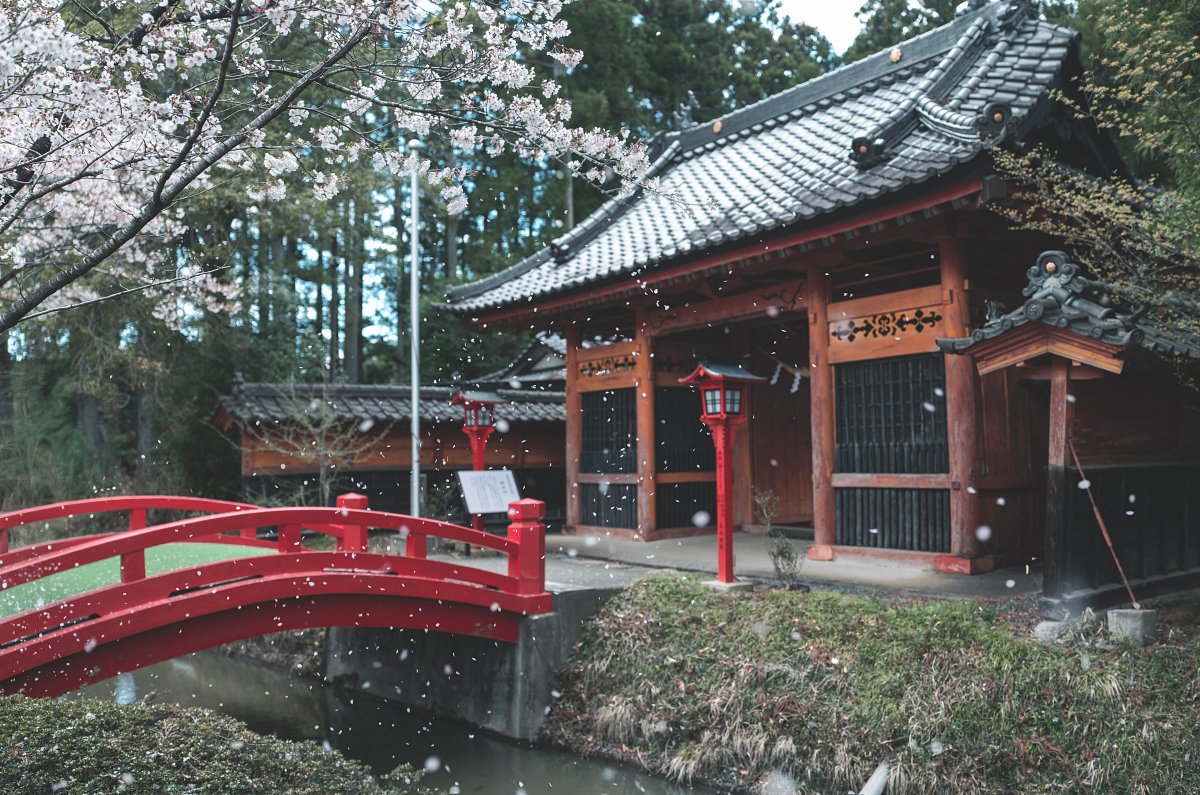 Sony α1 II + SEL2870GM，28mm、F2、1/200s、ISO 100（看大圖）