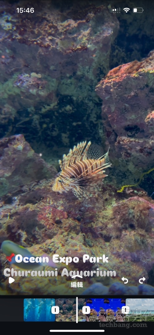 影片右下方的箭頭符號則是可以返回上一步；另外也可以點擊影片以大畫面預覽畫面呈現。