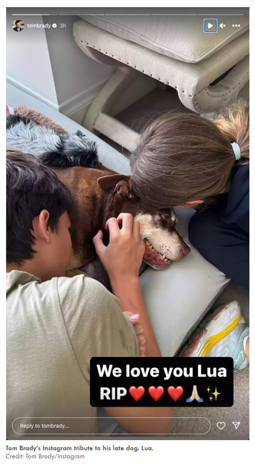 美國 NFL 球星自曝現在養的狗，是前一隻過世愛犬的複製體