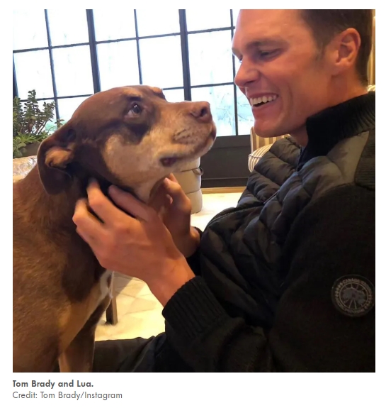 美國 NFL 球星自曝現在養的狗，是前一隻過世愛犬的複製體