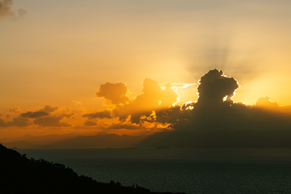 Sony α7R V + SEL70200G、125mm,F7.1、1/640s、ISO 100(看大圖)