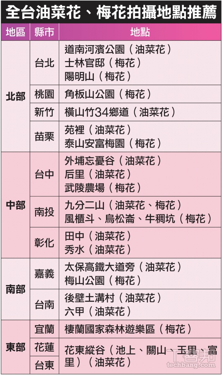 冬季限定！油菜花梅花這樣拍，手機也能拍出大師級美照！