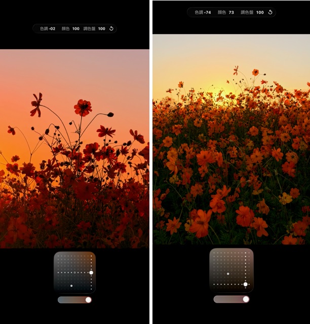 圖片授權：紀映光 @chillinlight