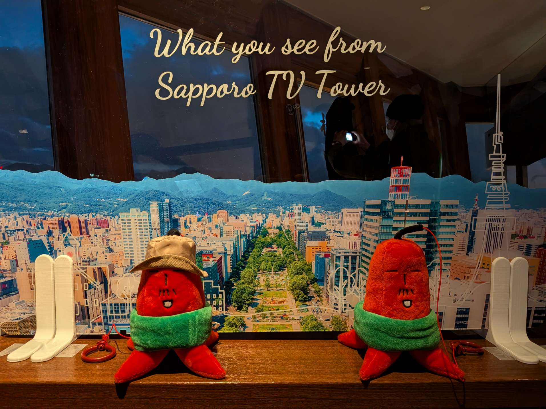 Google Pixel 10a 開箱：鏡頭平了、AI 更強了，這支「親民機」值得入手嗎？