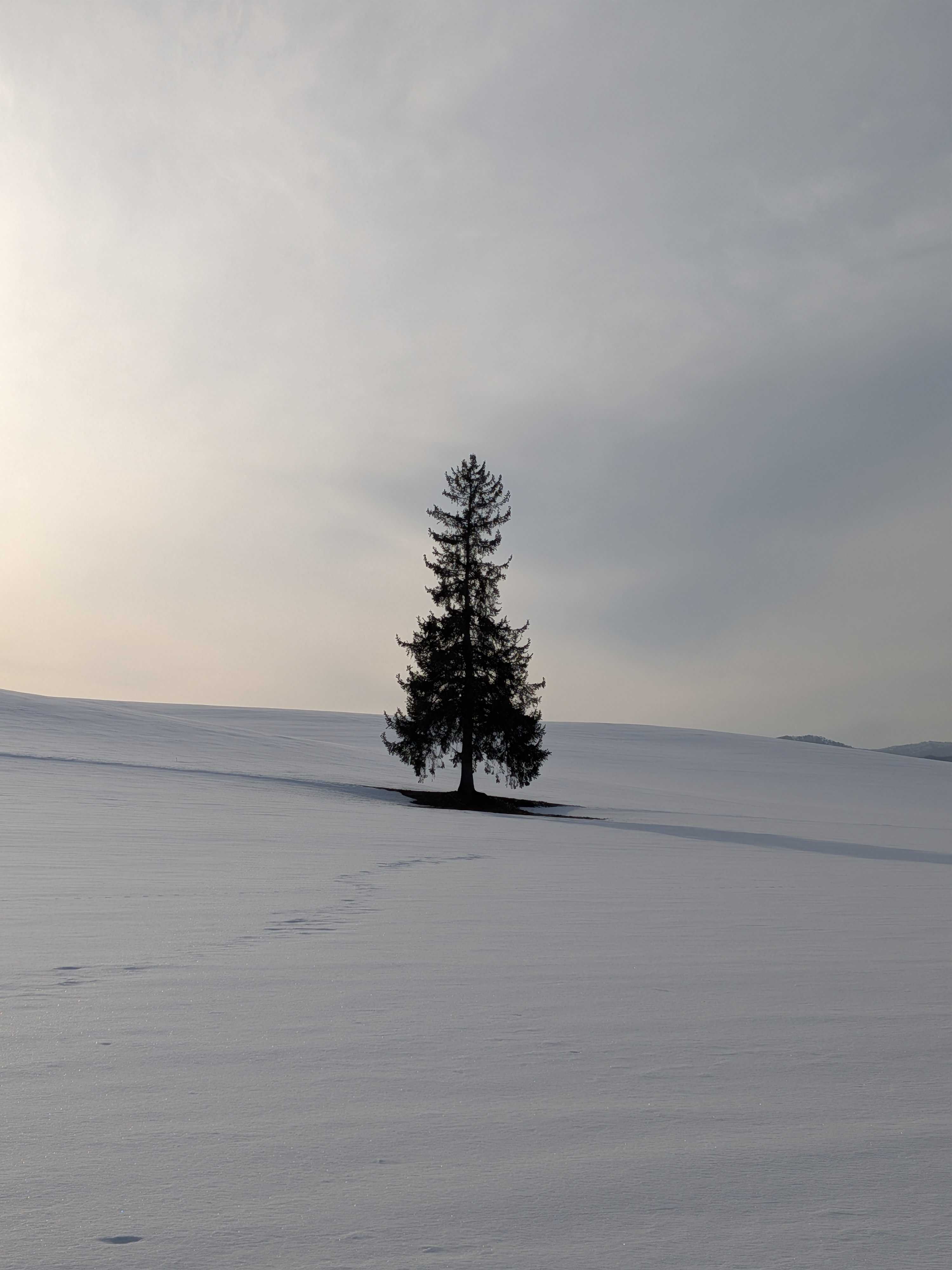 Google Pixel 10a 開箱：鏡頭平了、AI 更強了，這支「親民機」值得入手嗎？