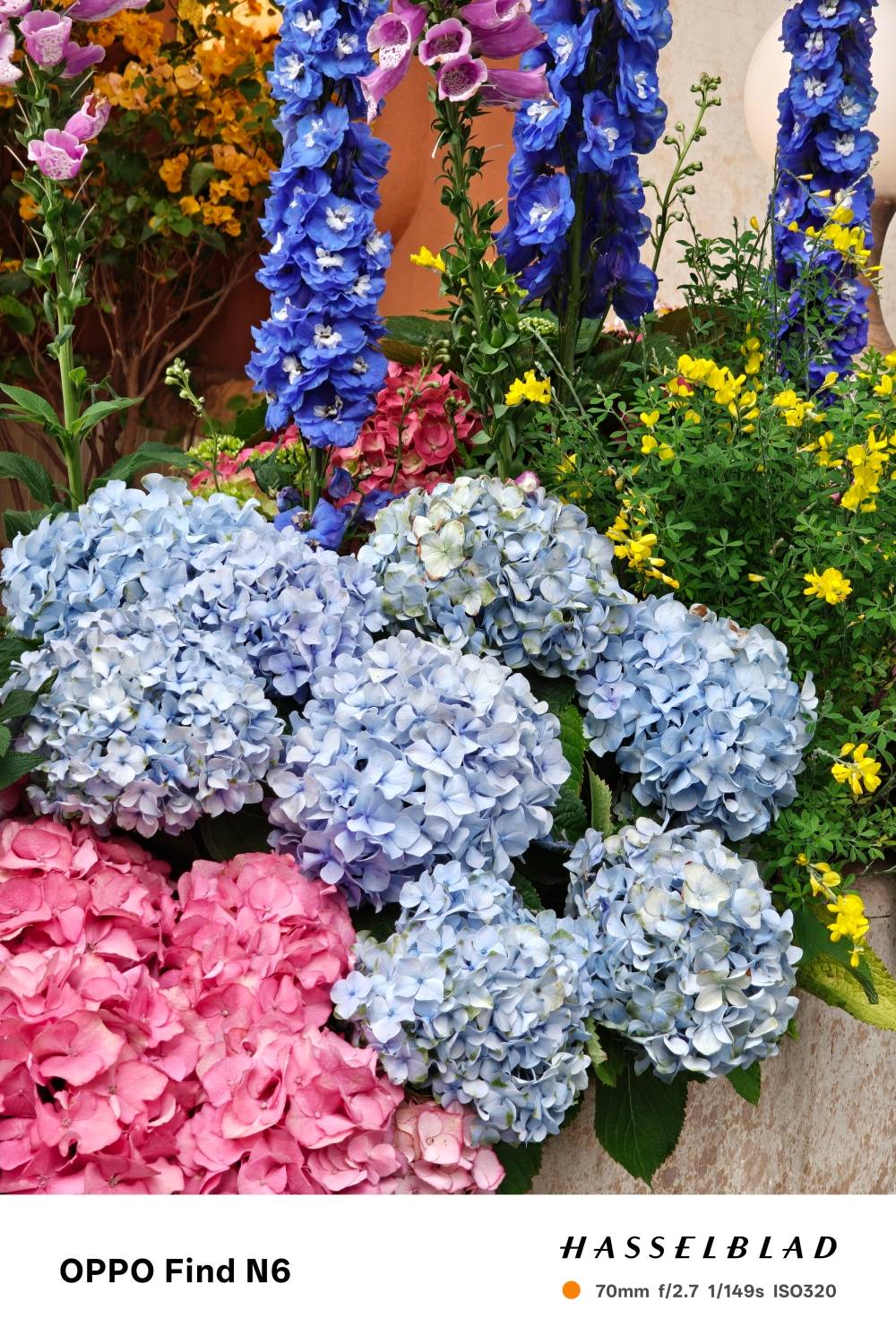 不只沒有摺痕，OPPO Find N6 升級 AI 產生圖表、相機也跟著升級了