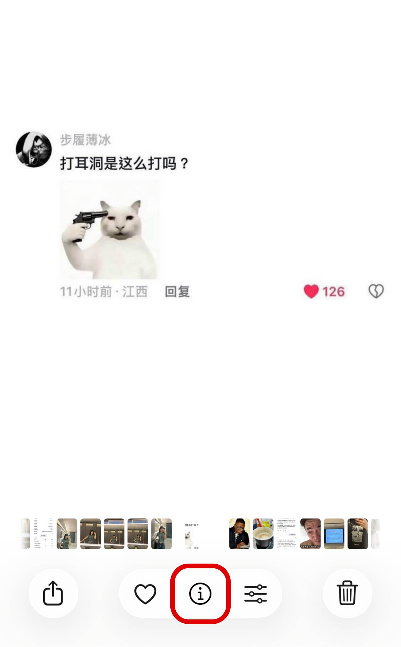 手機上萬張照片怎麼找？iPhone 內建「找圖神器」，關鍵字、地點、文字都能搜