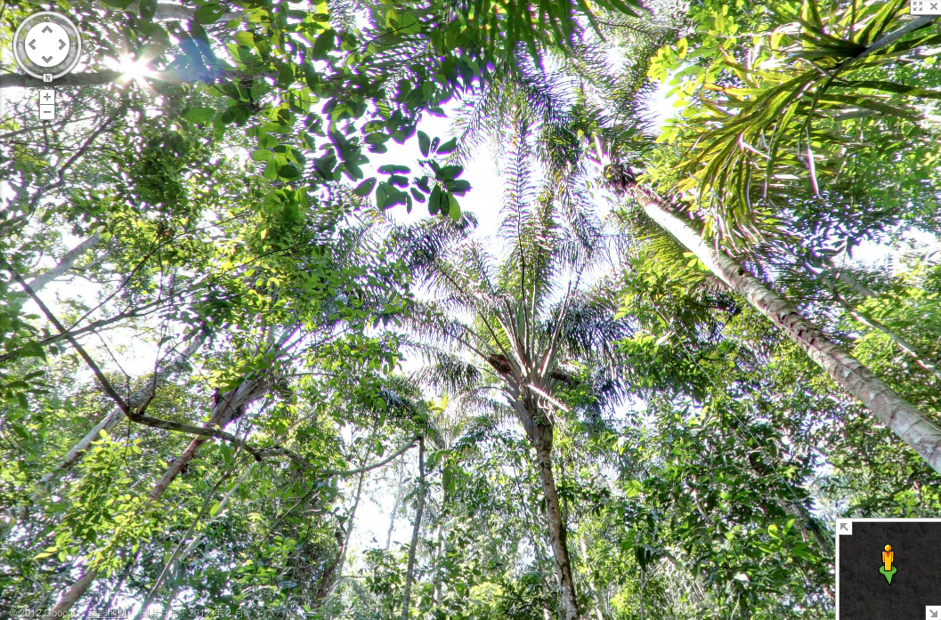 回顧 Google 亞馬遜流域街景，體驗亞馬遜雨林探險！