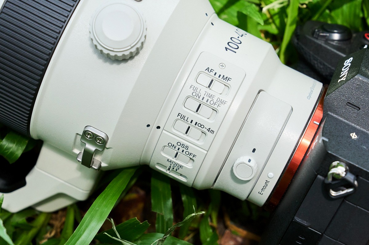 Sony FE 100-400mm F4.5 GM OSS 飛羽攝影實戰:畫質與機動性表現能達到資深玩家的標準嗎?