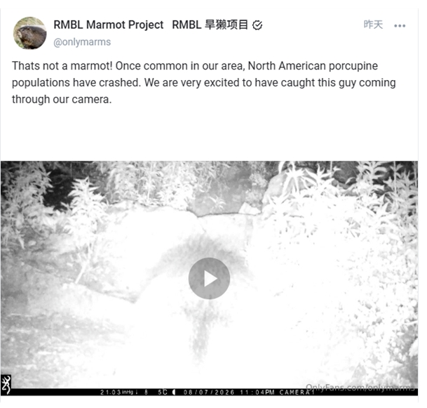 為了幫實驗室籌研究經費!美國大學教授竟在 OnlyFans 開號:「賣科學知識」月入萬美元