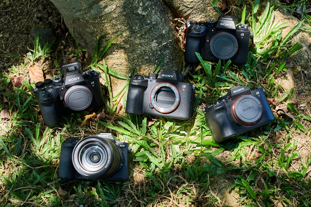 飛羽攝影該怎麼挑相機？攝影師蘇亮宇分享 Sony α1 II、α9 III、α7R VI、α7 V、RX10 V 選機心得
